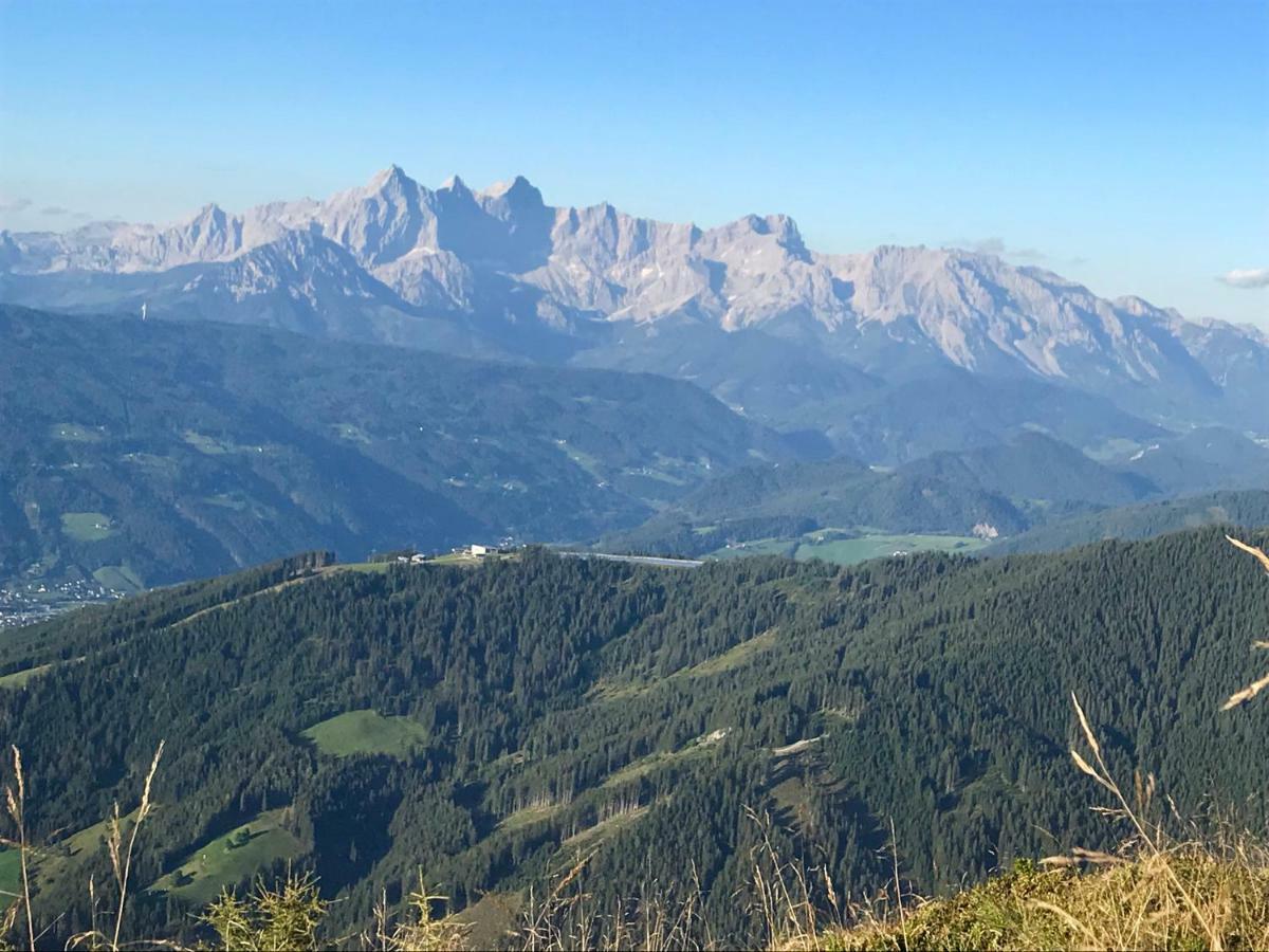Appartementhaus Sky Lodge アルテンマルクト・イム・ポンガウ エクステリア 写真